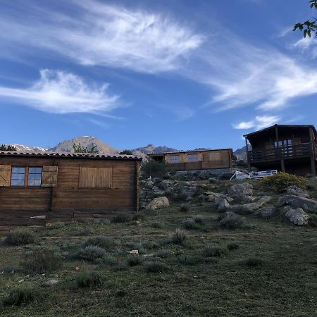Les Chalets De Lozzi Calacuccia Exteriör bild