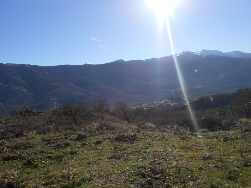 Les Chalets De Lozzi Calacuccia Exteriör bild