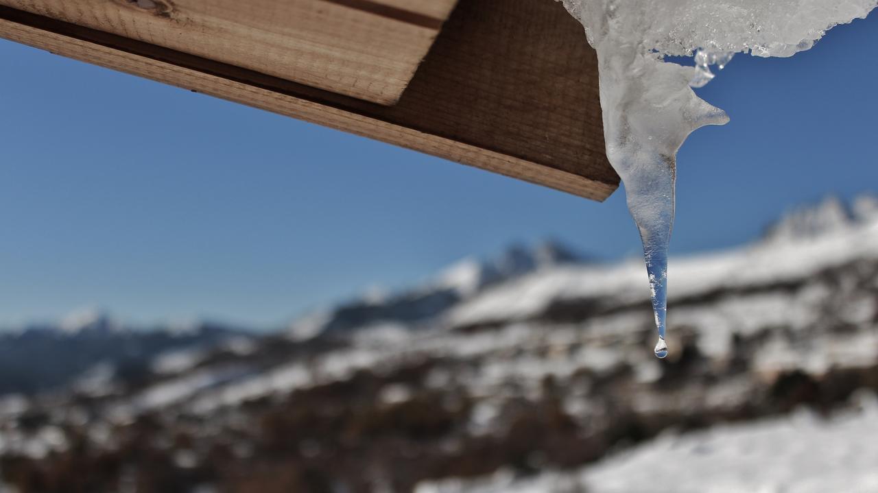 Les Chalets De Lozzi Calacuccia Exteriör bild