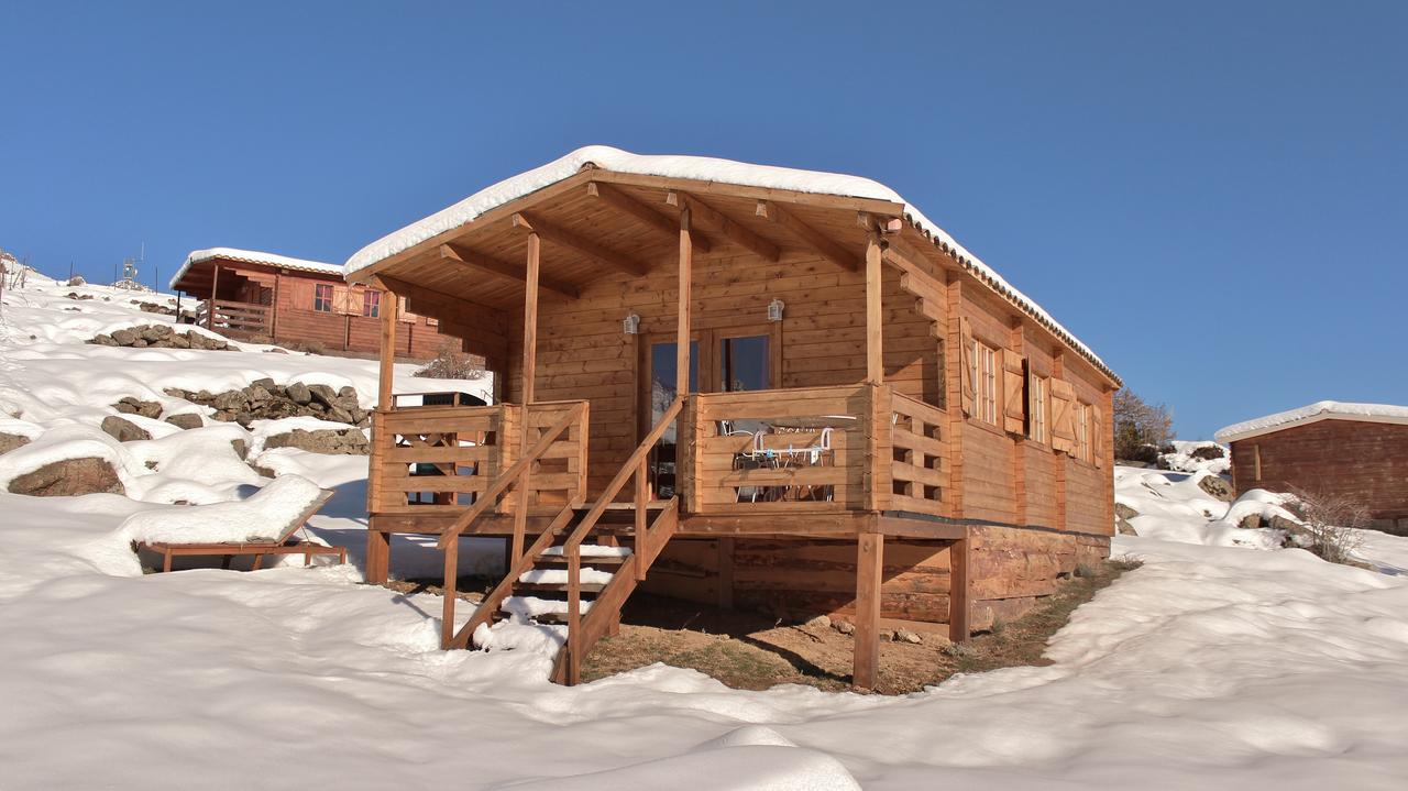 Les Chalets De Lozzi Calacuccia Exteriör bild